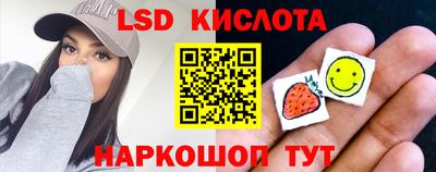 индика Рузаевка