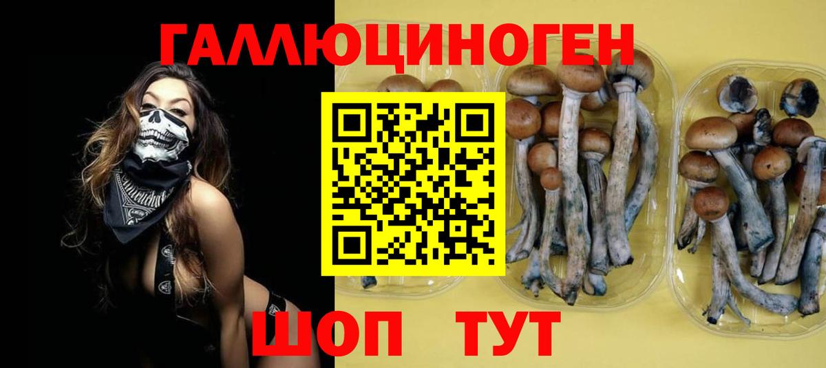 цена   Вход с VPN  Подольск  Галлюциногенные грибы ЛСД 